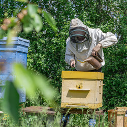 Similar image 21196916