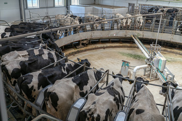 Similar image 21196924