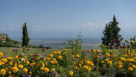 Similar image 21196927