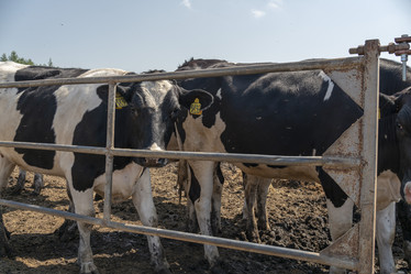 Similar image 21196942