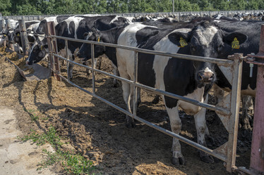 Similar image 21196946