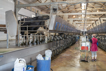 Similar image 21196952