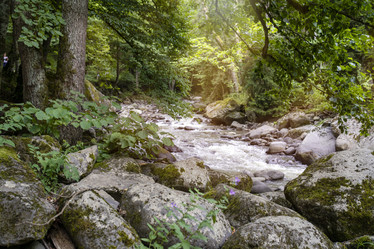 Similar image 21196961