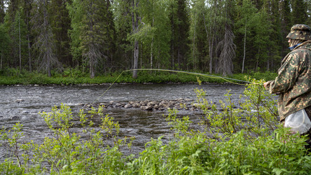 Similar image 21196966