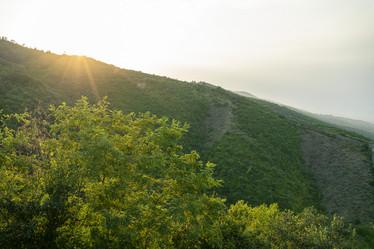 Similar image 21196967