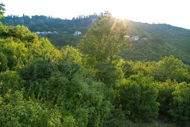 Similar image 21196972