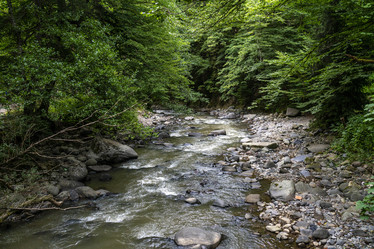 Similar image 21196976