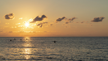 Similar image 21196984