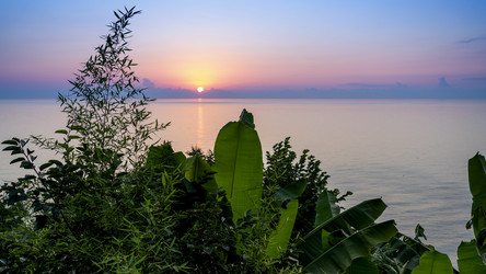 Similar image 21196985