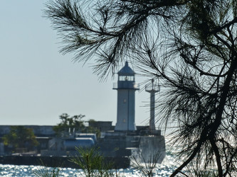 Similar image 21186835