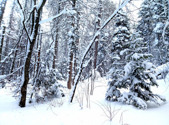 Similar image 21194546