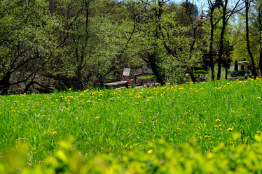 Similar image 21186842