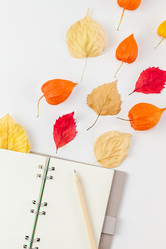 Similar image 21199132