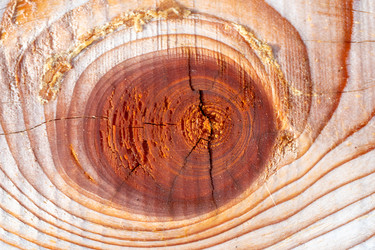 Similar image 21186866