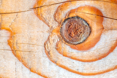 Similar image 21186870