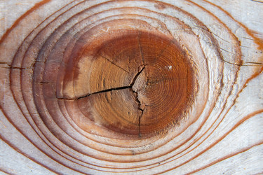 Similar image 21186876