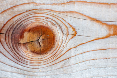 Similar image 21186877