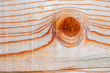 Similar image 21186880