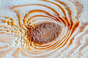 Similar image 21186883