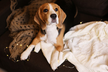 Similar image 21189942