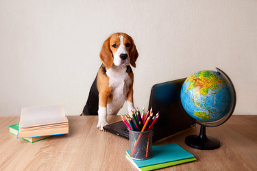 Similar image 21187337