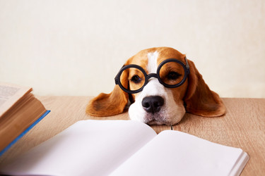 Similar image 21189943