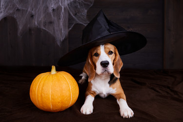 Similar image 21189944