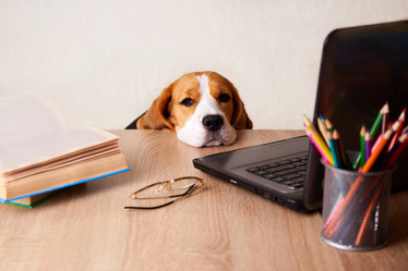 Similar image 21187344