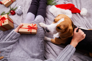 Similar image 21191471