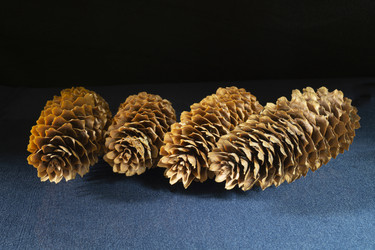 Similar image 21193122