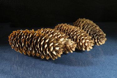 Similar image 21193123