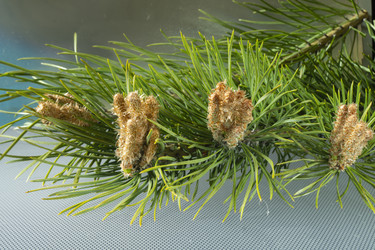 Similar image 21193141