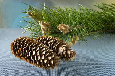 Similar image 21193142