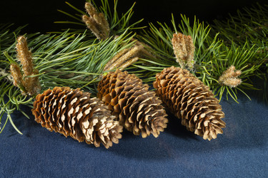 Similar image 21193144