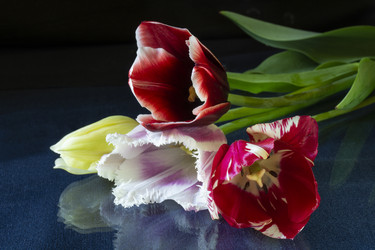 Similar image 21193148