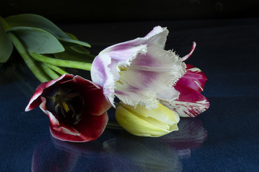 Similar image 21193149