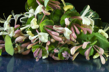 Similar image 21193150