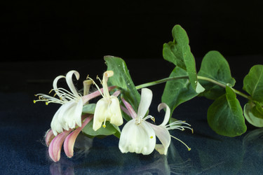 Similar image 21193151