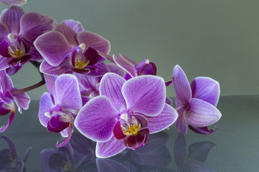 Similar image 21193154