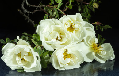 Similar image 21193155