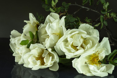 Similar image 21193156