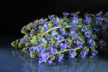 Similar image 21193157