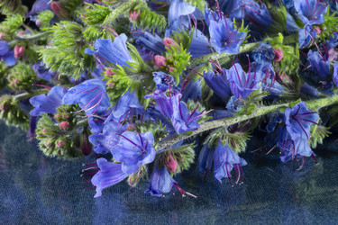 Similar image 21193158