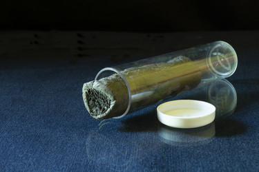 Similar image 21193160