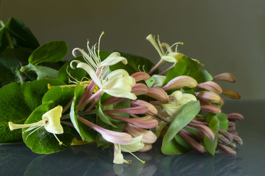 Similar image 21193162