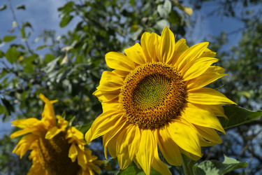 Similar image 21192930