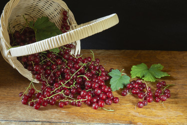 Similar image 21192944