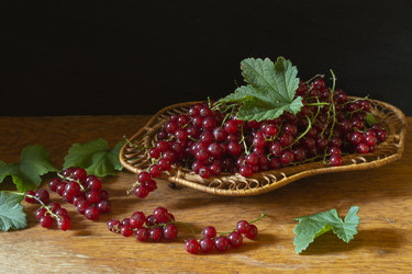 Similar image 21192948