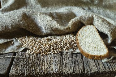 Similar image 21192949