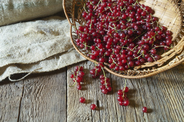 Similar image 21193124